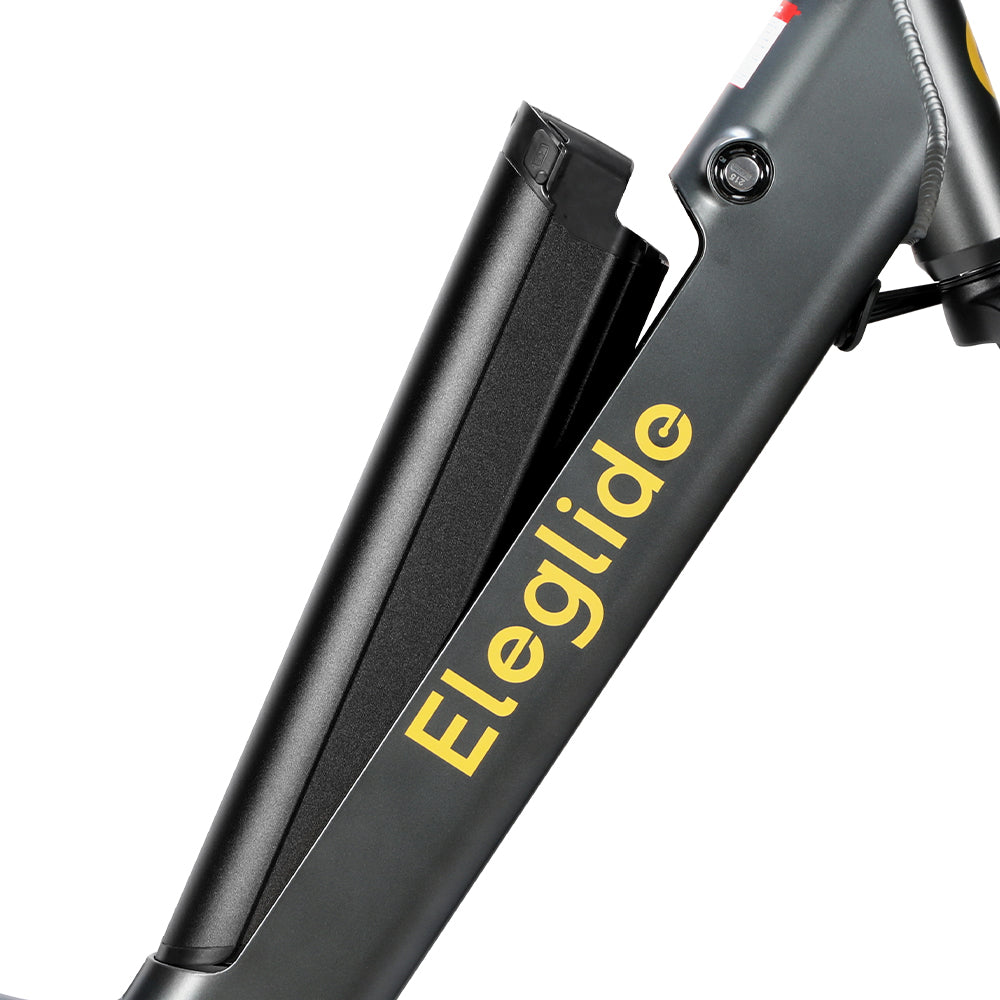 Electric Trekking Bike T1 Step-Thru