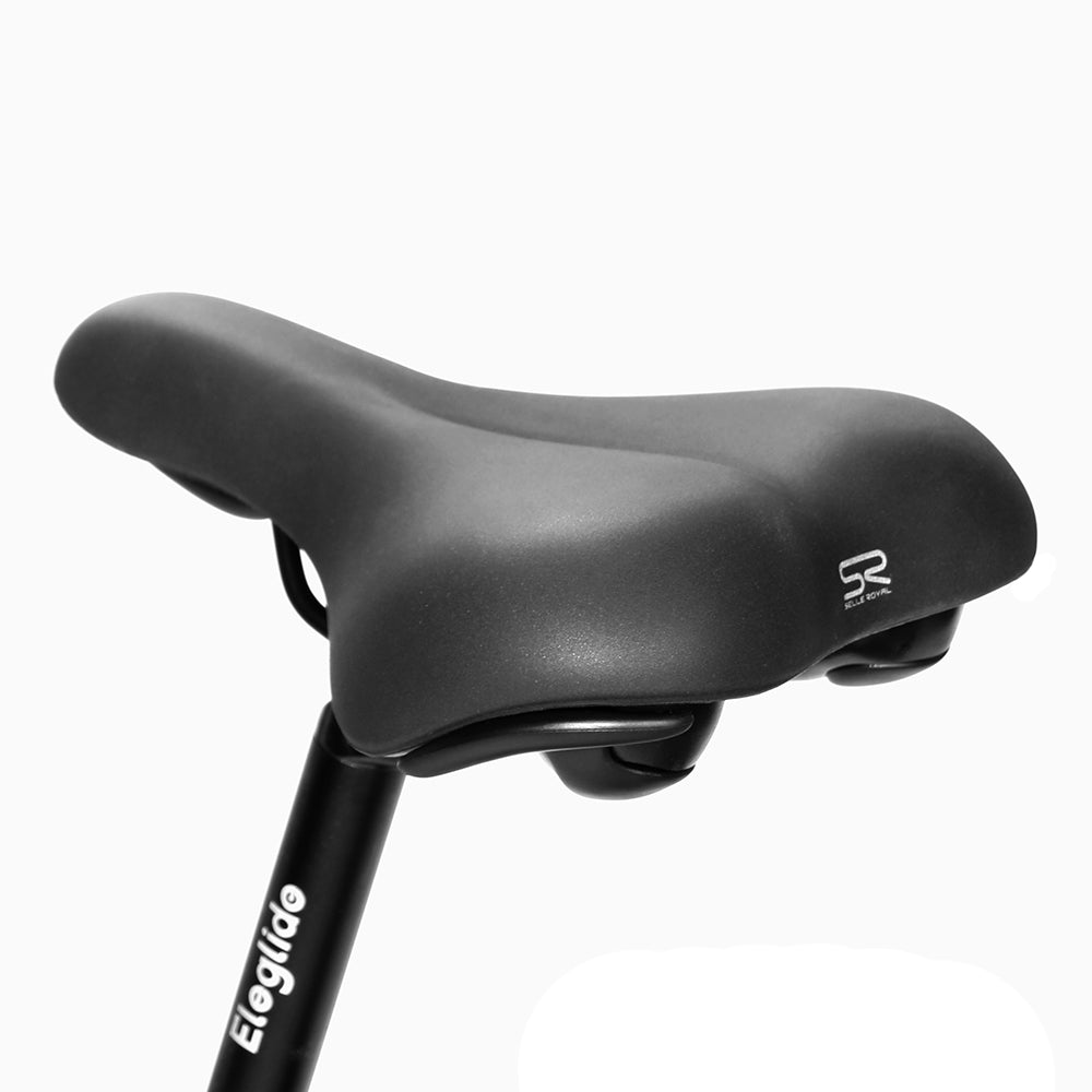 Electric Trekking Bike T1 Step-Thru