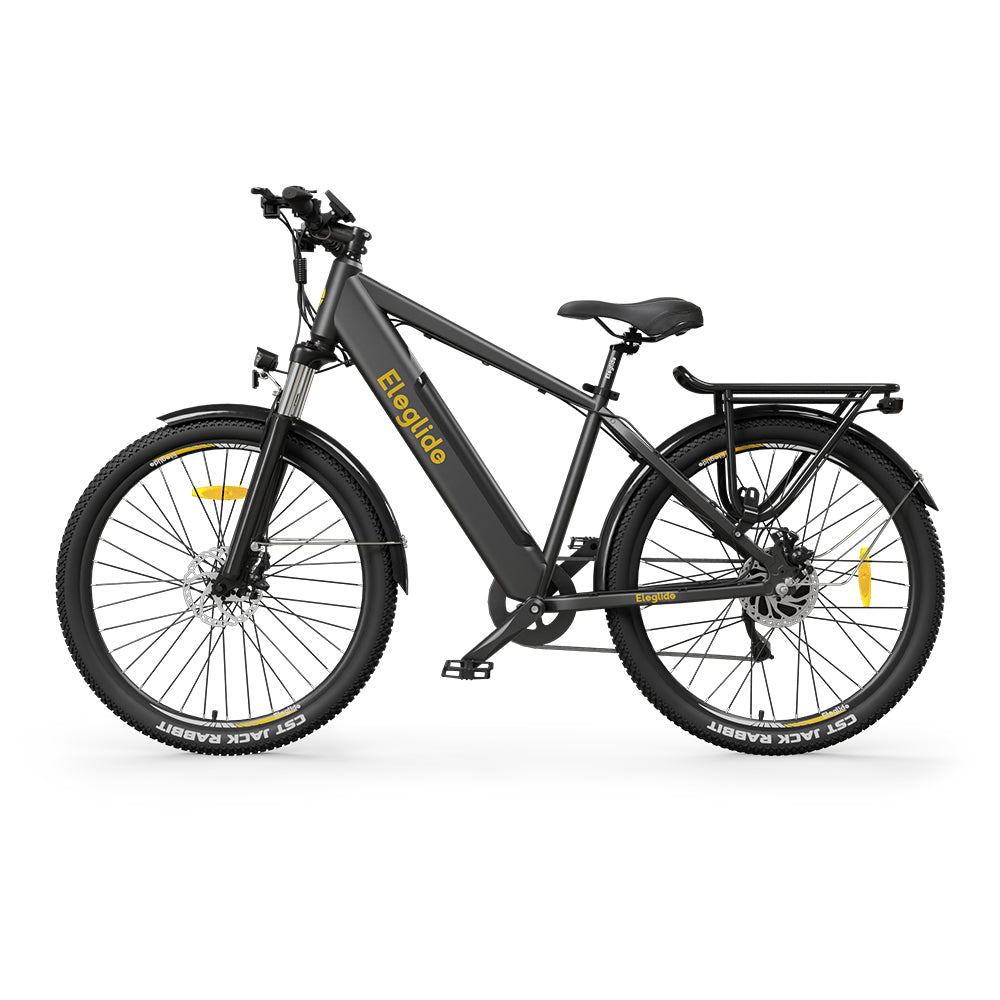 Electric Trekking Bike T1